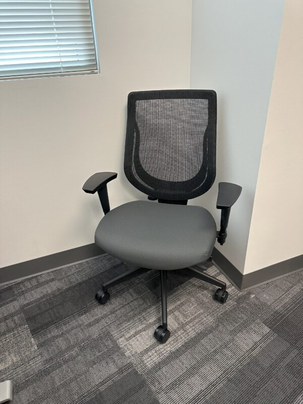 Allseating You Too Task Chair