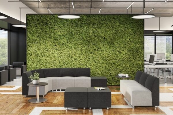 New Fuse Reception Seating
